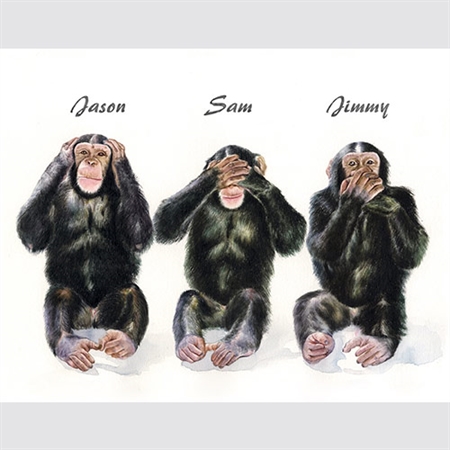 Monkey See, Monkey Do III - myDaVinci